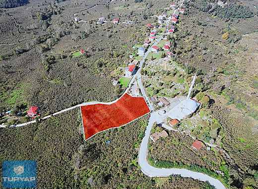 ORDU ALTINORDU DELİKKAYA'DA SATILIK EMSALSİZ BAHÇE
